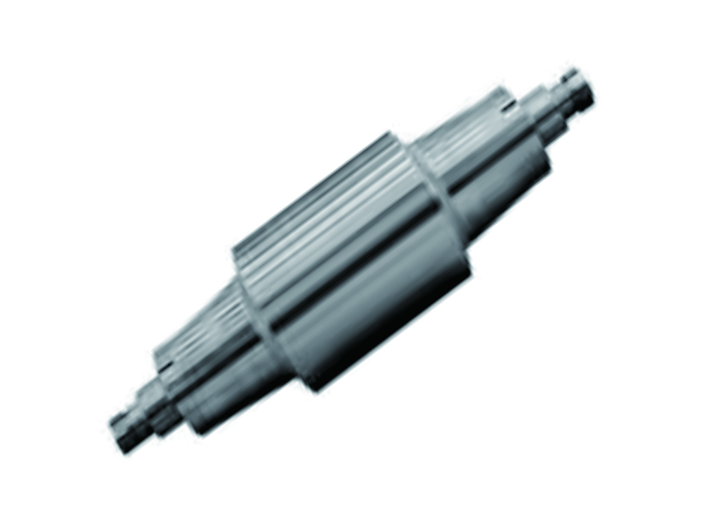 Backup Roll